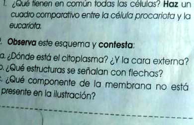 Solved Ayuda Doy Coronas Ceue Tienen En Comun Todas Las Celulas