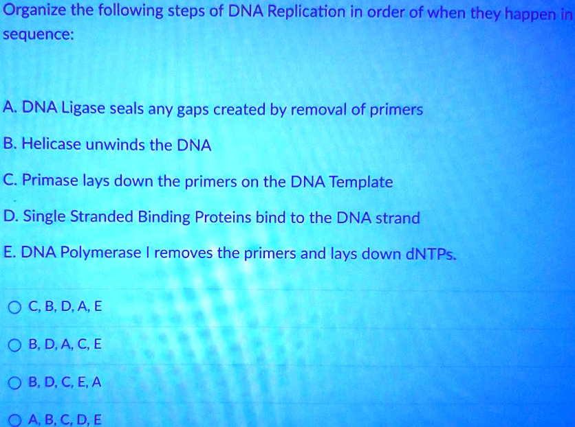 Solved Organize The Following Steps Of Dna Replication In Order Of