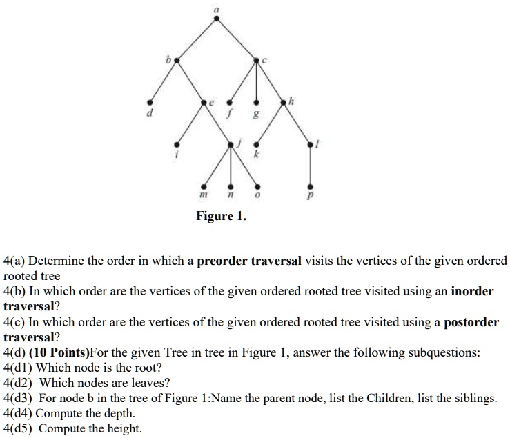 Solved Give The Prefix Infix And Postfix Expressions Corresponding