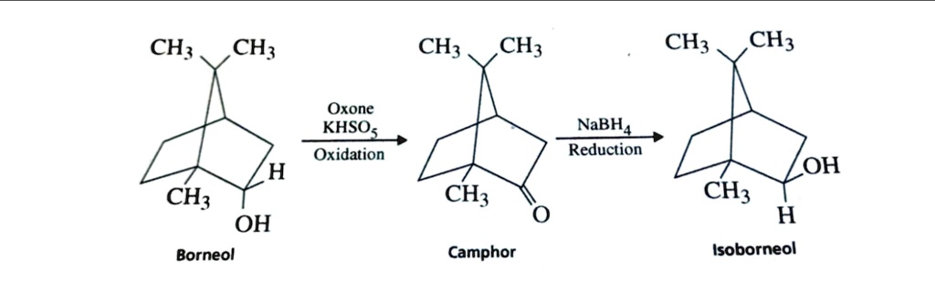 Solved Ch Ch Ch Ch Ch Ch Oxone Khsos Oxidation Nabhg Reduction H