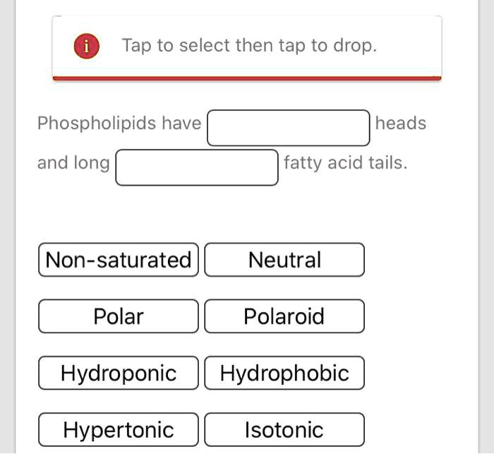 Solved Tap To Select Then Tap To Drop Phospholipids Have Heads And