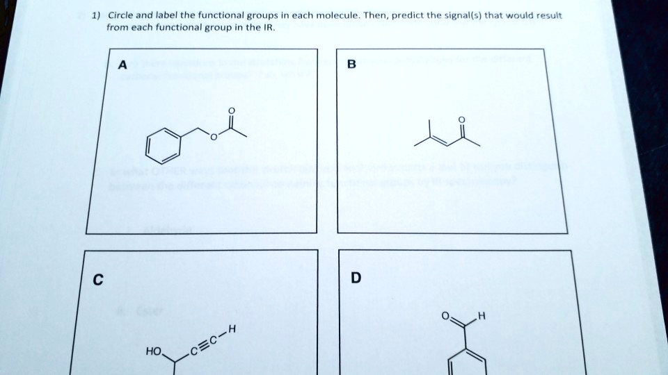 Circle And Label The Functional Groups In Each Molecu Solvedlib