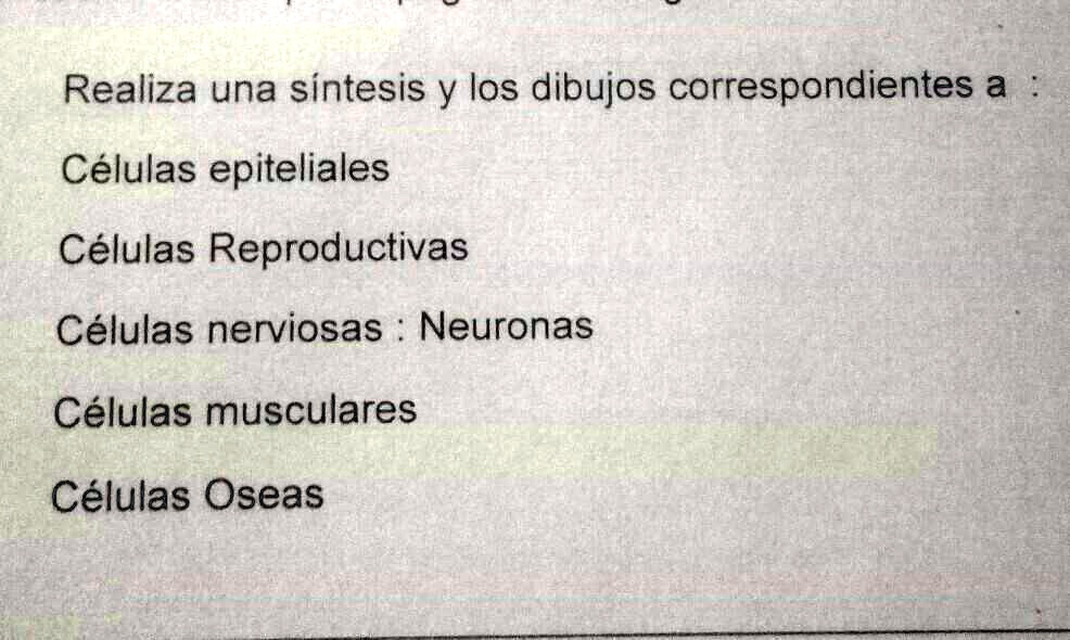 Solved Me Podr An Ayudar Por Favor Realiza Una S Ntesis Y Los Dibujos