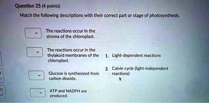 SOLVED Question 25 4 Points Match The Following Descriptions With