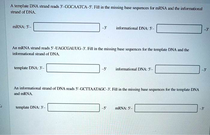 SOLVED A Templale DNA Strand Reads 3 GGCAATCA 5 Fill In The Missing