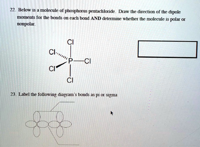 SOLVED 22 Below IS Molecule Of Phosphorus Pentachloride Draw The