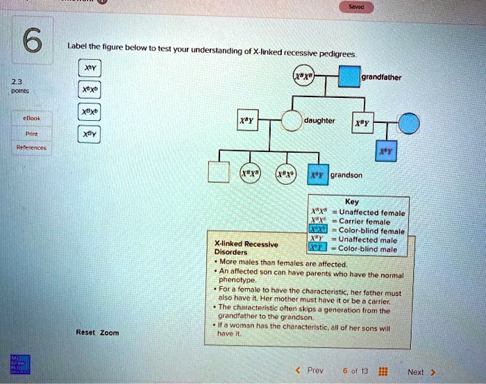 Label The Figure Below To Test Your Understanding Of X Linked Recessive