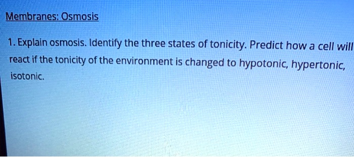 Solved Membranes Osmosis Explain Osmosis Identify The Three States Of