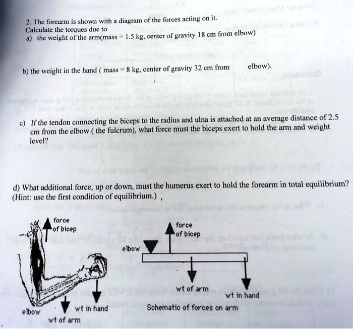 The Forearm Is Shown With A Diagram Of The Forces Acting On It