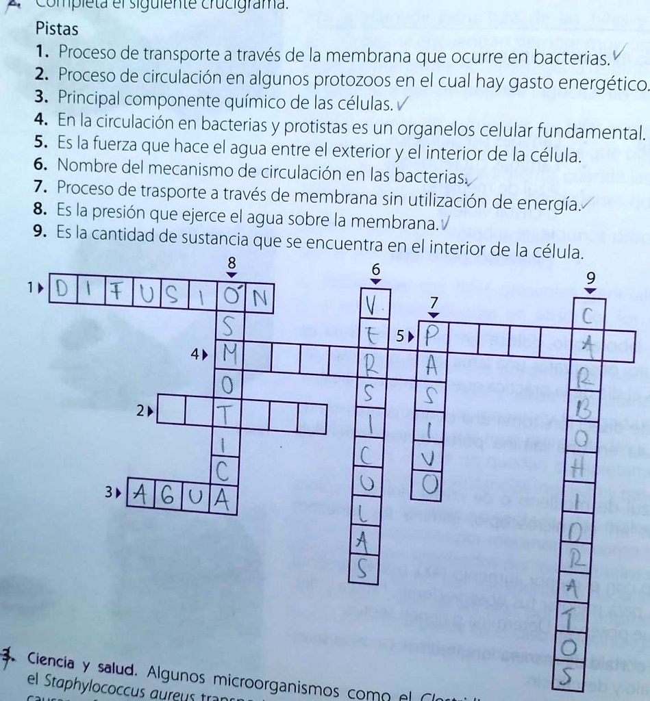 SOLVED Ayudenme A Desarrollar Este Crucigrama X Favor 4 ComnpIeld L