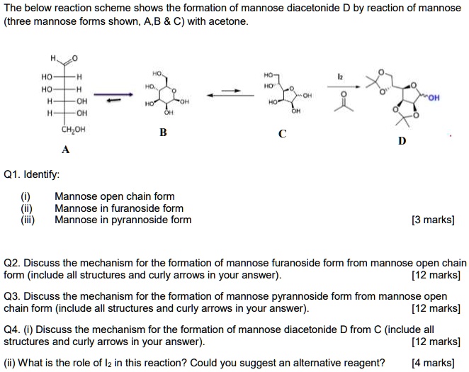 SOLVED The Below Reaction Scheme Shows The Formation Of Mannose