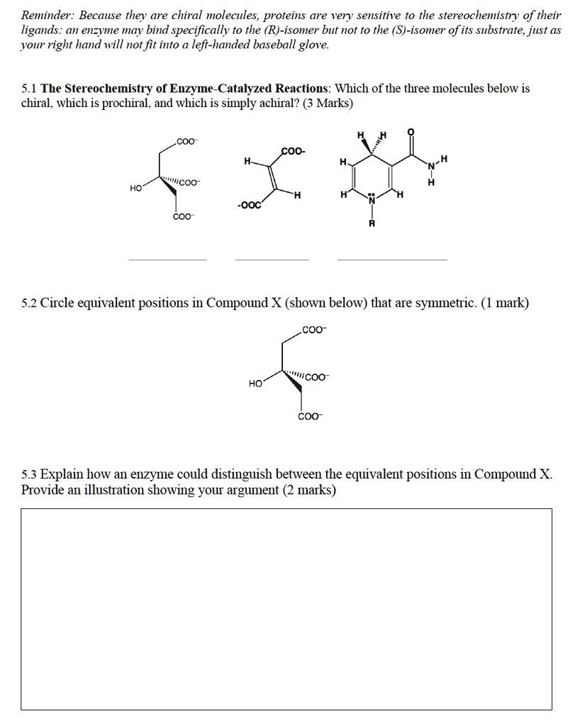 SOLVED Reminder Because They Are Chiral Molecules Proteins Are Rery