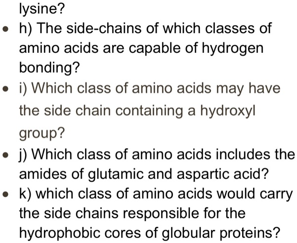 Solved Lysine H The Side Chains Of Which Classes Of Amino Acids Are