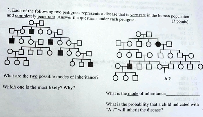 Solved Each Of The Following Two Pedigrees And Completely Penetrant