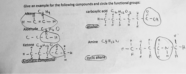 SOLVED Give An Example For The Following Compounds And Circle The