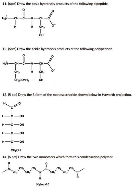 Solved Pts Draw The Basic Hydrolysis Products Of The Following