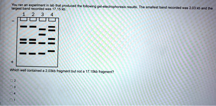 Solved You Ran An Experiment In The Lab That Produced The Following