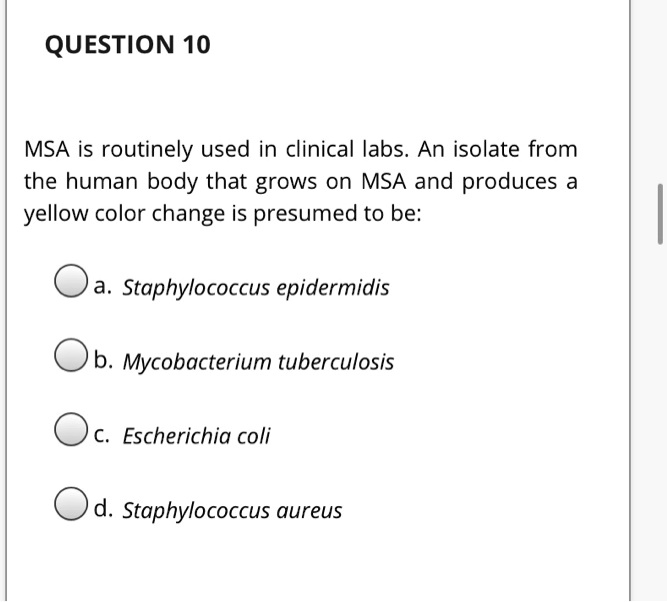 Solved Question Msa Is Routinely Used In Clinical Labs An Isolate