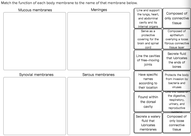 Solved Match The Function Of Each Body Membrane To The Name Of That