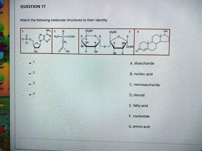 Solved Question Match The Following Molecular Structures To Their