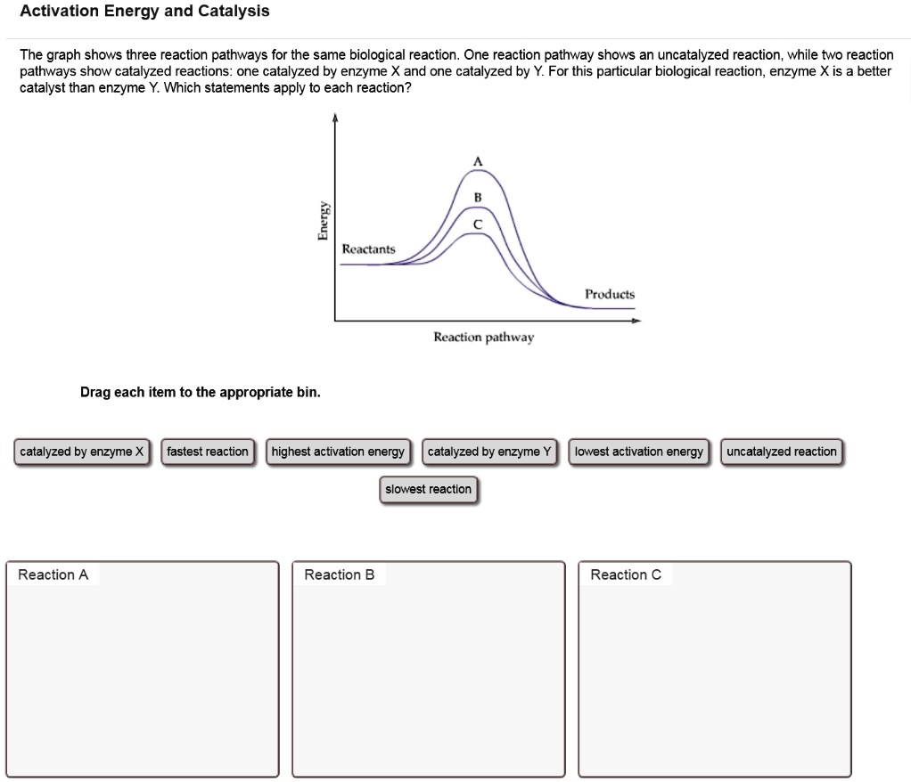 Activation Energy And Catalysis The Graph Shows Three Reaction Pathways