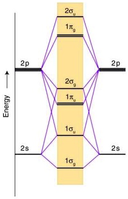 SOLVED The Molecular Orbital Diagram For N2 Is Shown In The Figure A