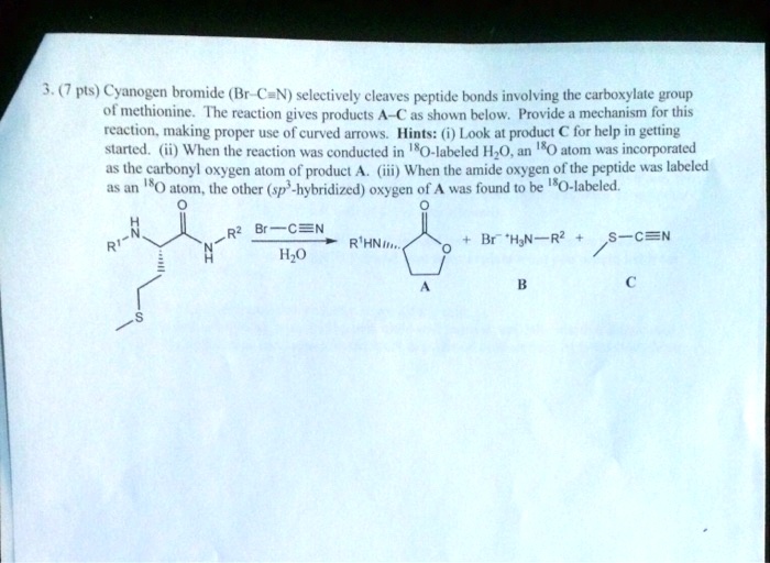 Solved Pts Cyanogen Bromide Br C N Selectively Eleaves Peptide