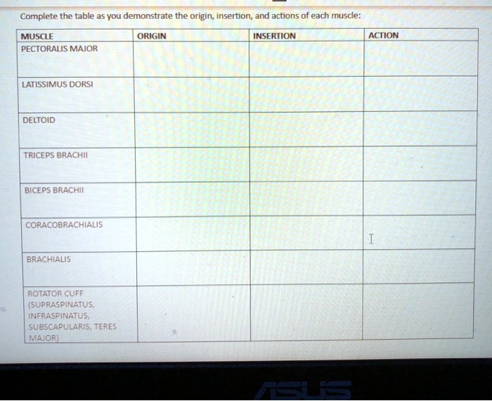 SOLVED Complete The Table As You Demonstrate The Origin Insertion