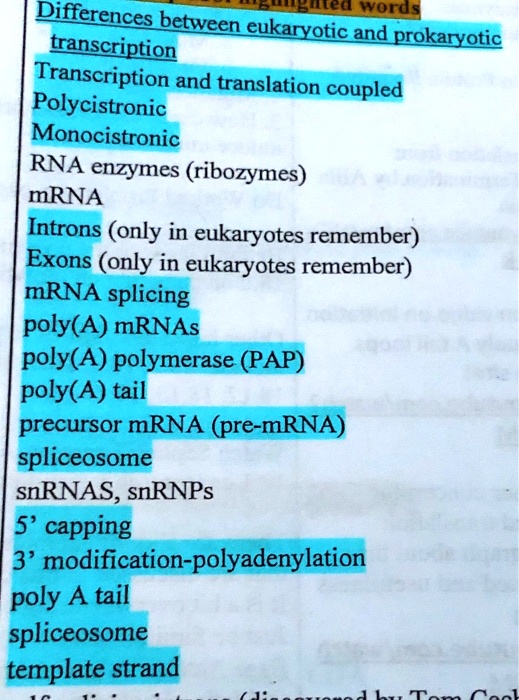 SOLVED Differences Between Buredawords Eukaryotic And Prokaryotic