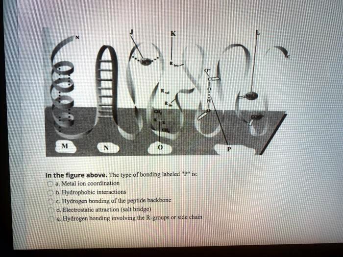 Solved In The Figure Above The Types Of Bonding Labeled Are P Metal