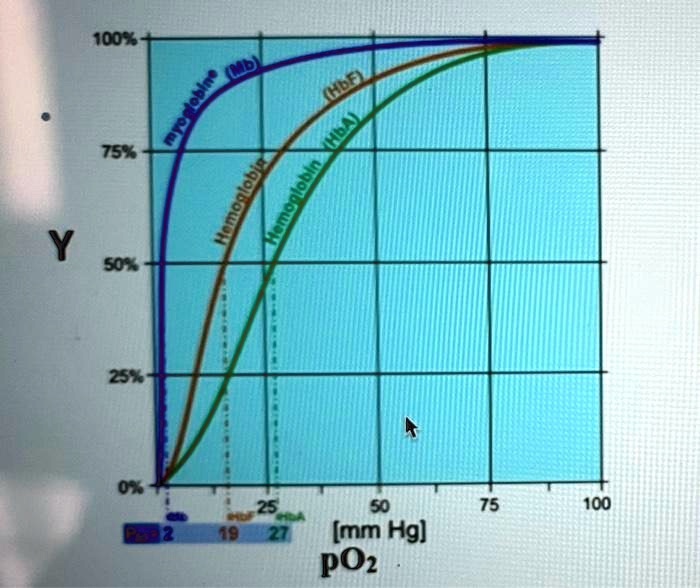 SOLVED The Following Graph Shows The Saturation Curves For Myoglobin