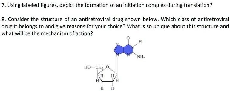 SOLVED 7 Using Labeled Figures Depict The Formation Of An