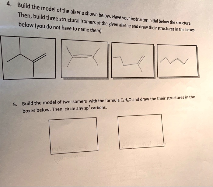 Solved Build The Model Of The Then Alkene Shown Build Three