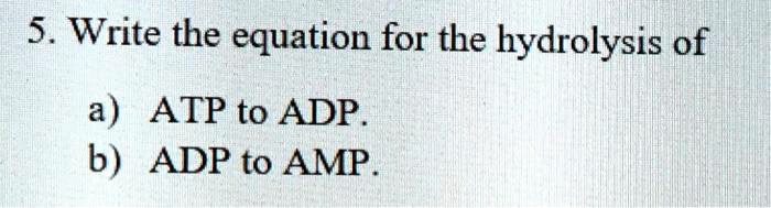 SOLVED 5 Write The Equation For The Hydrolysis Of A ATP To ADP 6 ADP