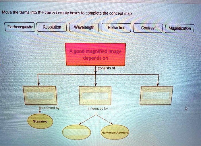 SOLVED Move The Terms Into The Correct Empty Boxes To Complete The