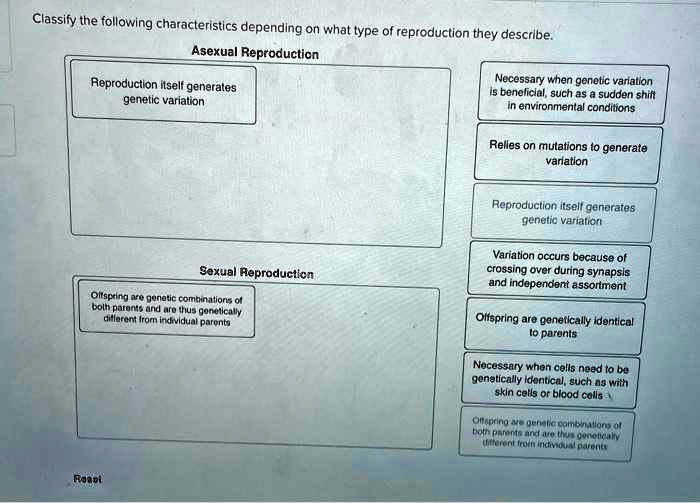 Classify The Following Characteristics Depending On What Type Of