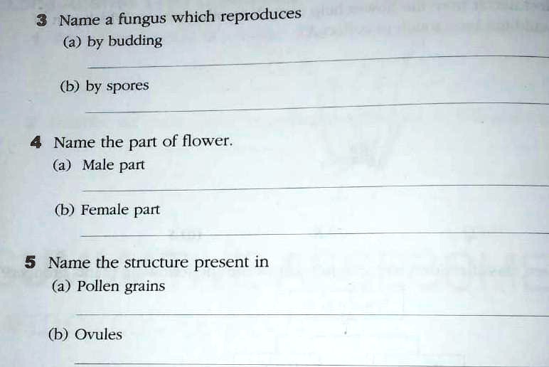 SOLVED Give Me Answer Of This Question Class 7th Science