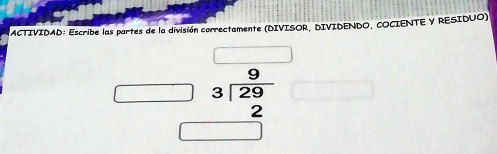 Solved Actividad Escribe Las Partes De La Divisi N Correctamente