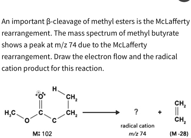 SOLVED An Important B Cleavage Of Methyl Esters Is The McLafferty