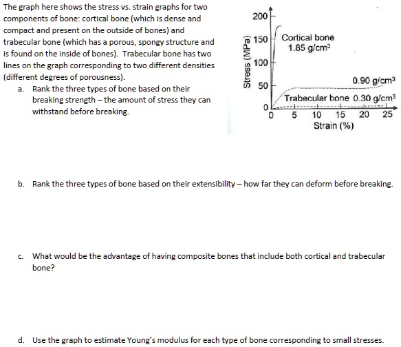 Solved The Graph Here Shows The Stress Strain Graphs For Two