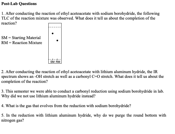 SOLVED Post Lab Questions 1 After Conducting The Reaction Of Ethyl