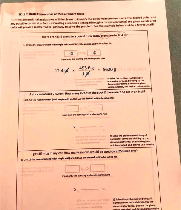 Solved Texts Skill Basic Conversions Of Measurement Units To Begin