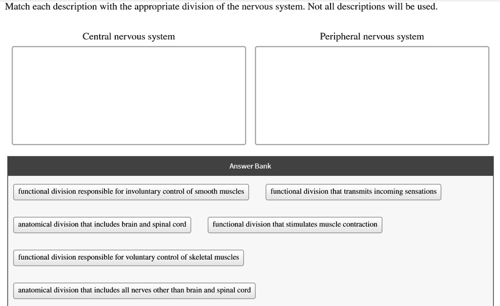 Match Each Description With The Appropriate Division Of The Nervous