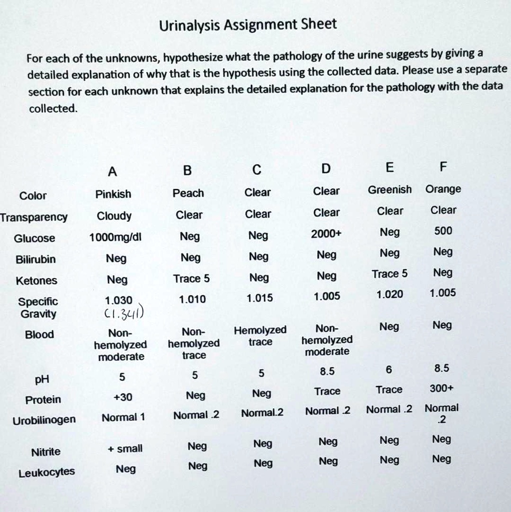 Solved Urinalysis Assignment Sheet For Each Of The Unknowns