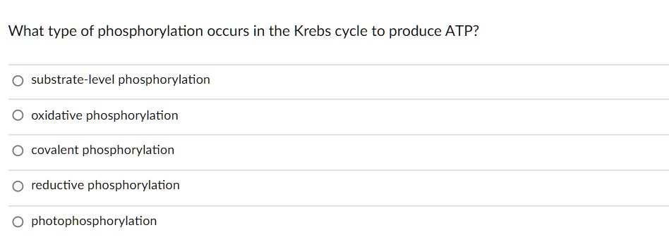 Solved What Type Of Phosphorylation Occurs In The Krebs Cycle To