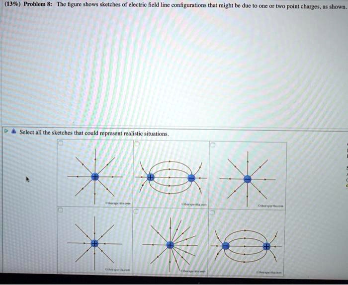 13 Problem 8 The Figure Shows Sketches Of Electric Field Line