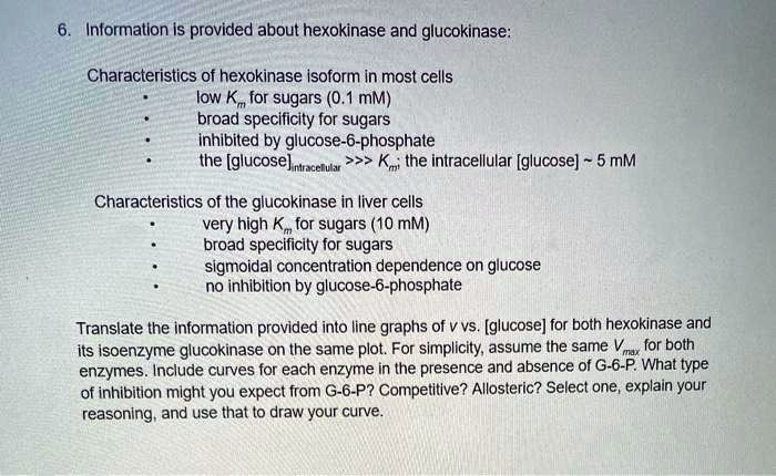 SOLVED Informatlon Is Provided About Hexokinase And Glucokinase