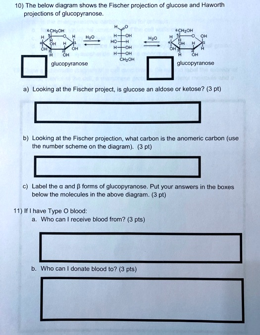 Video Solution The Below Diagram Shows The Fischer Projection Glucose