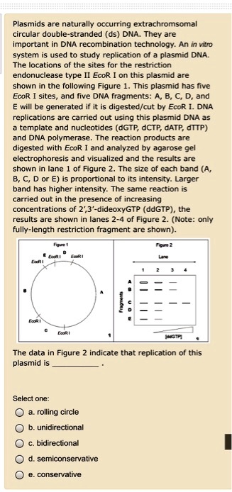 SOLVED Plasmids Are Naturally Occuring Extrachromsomal Circular Double