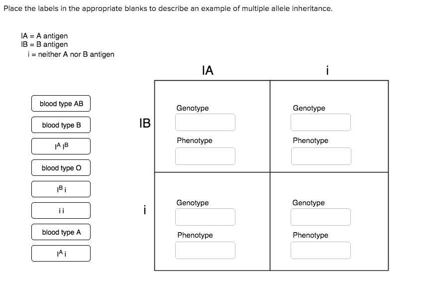 Place The Labels In The Appropriate Blanks To Describe An Example Of